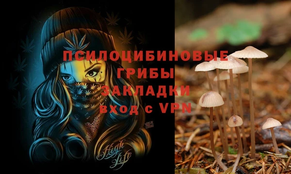 трава Абдулино