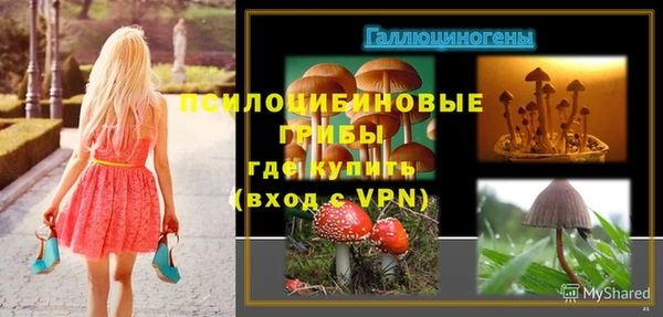 соль ск Абинск