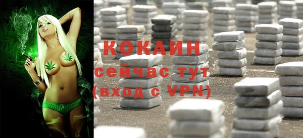 прущие крисы Абаза