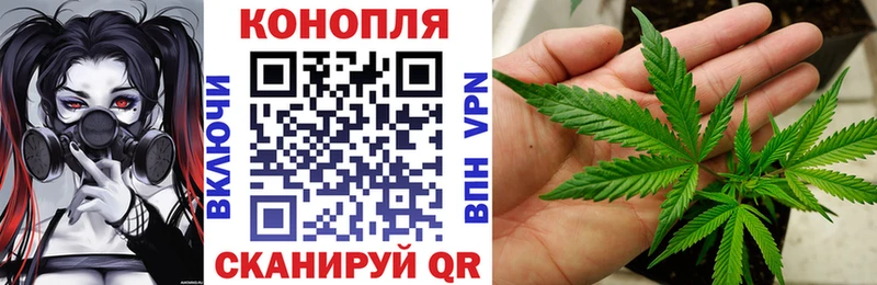 Марихуана конопля  Щёкино 